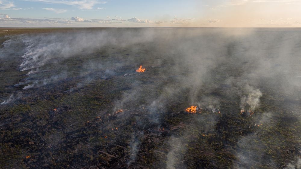 Earthsight's 'Fashion Crimes': Exposing Inditex's Link to Illegal Deforestation