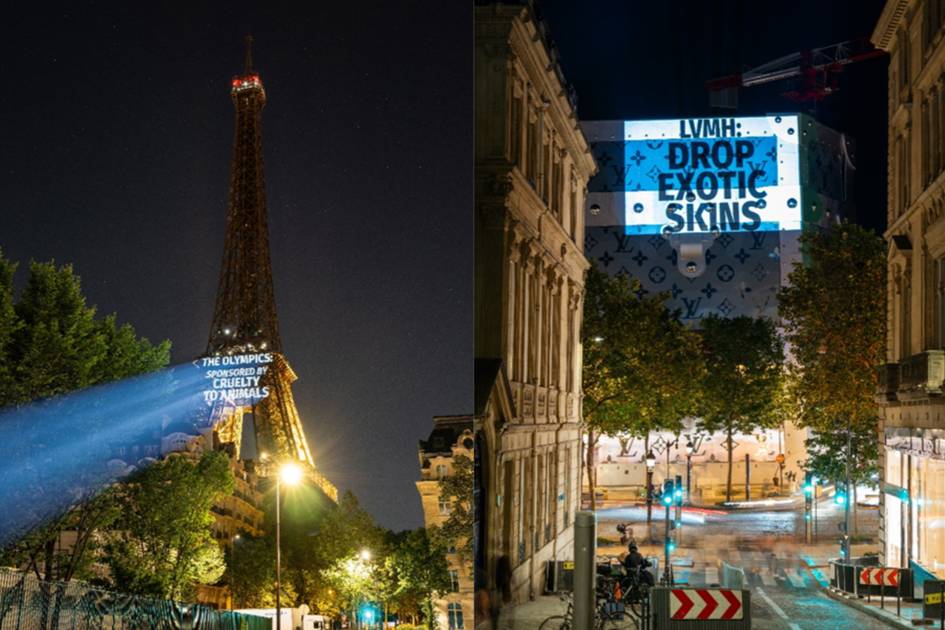The 2024 PETA Allegations: Unpacking the 'Olympic Sponsor' Cruelty Campaign Against LVMH